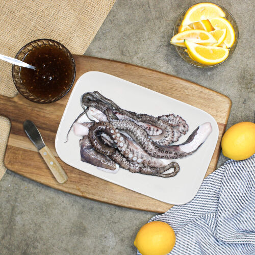 Squid + Octopus