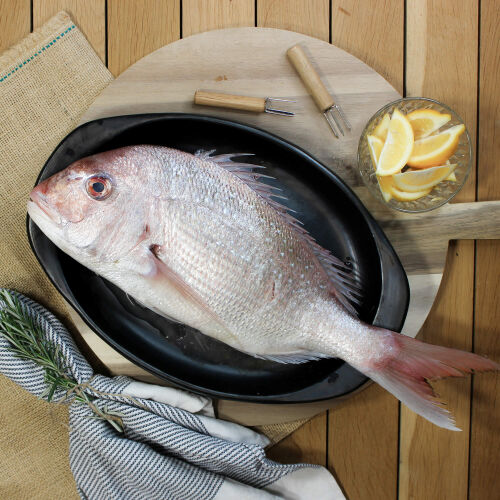 All Whole Fish