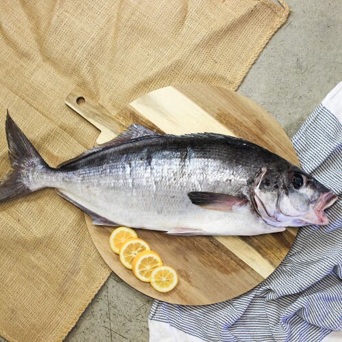 All Whole Fish