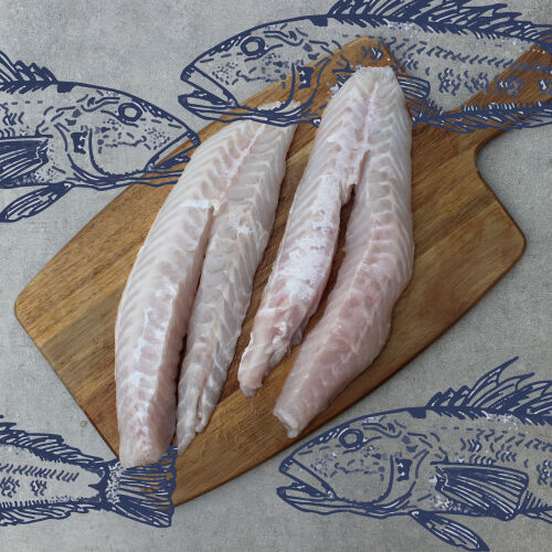 Chatham Island Catch