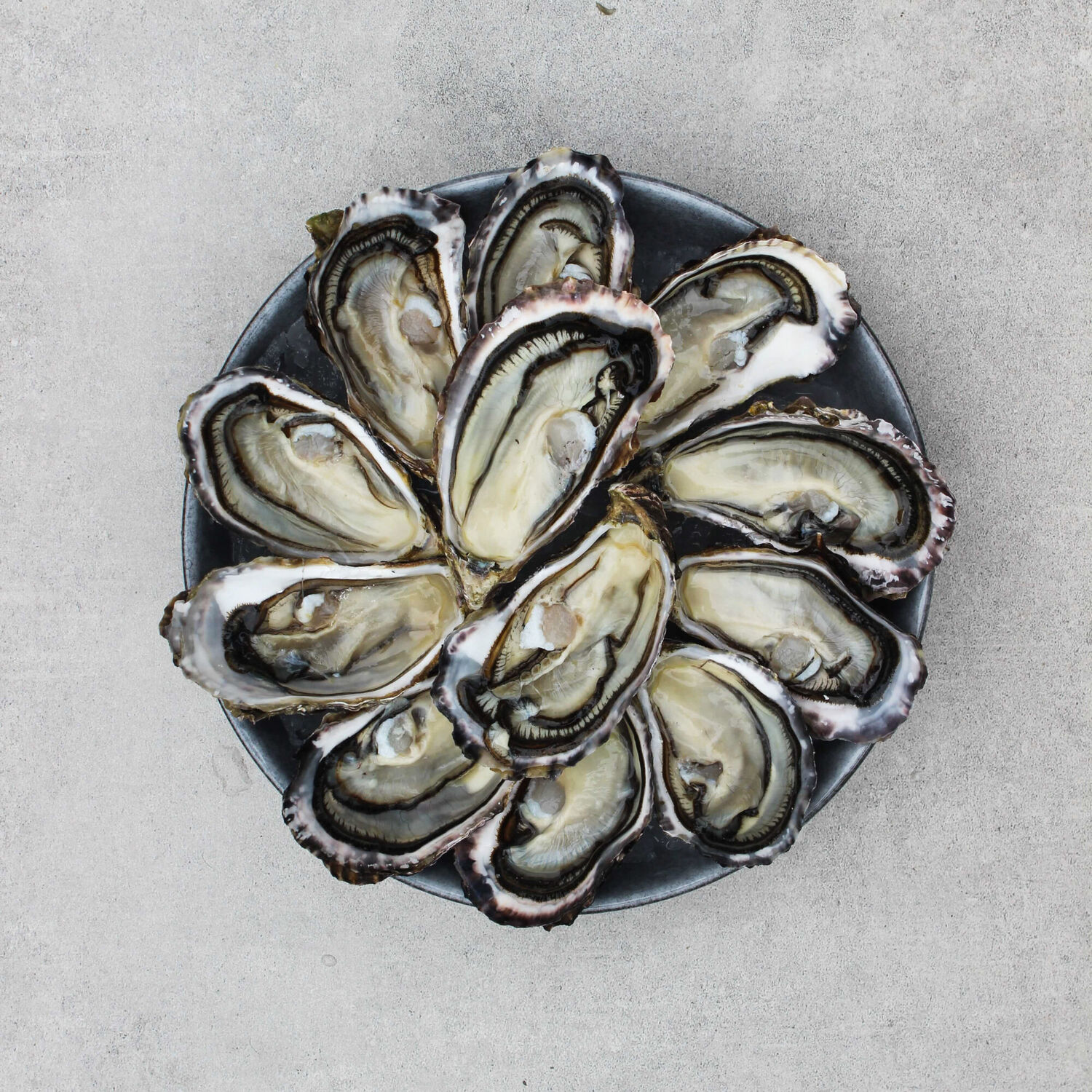 Te Matuku Oysters (Dozen)