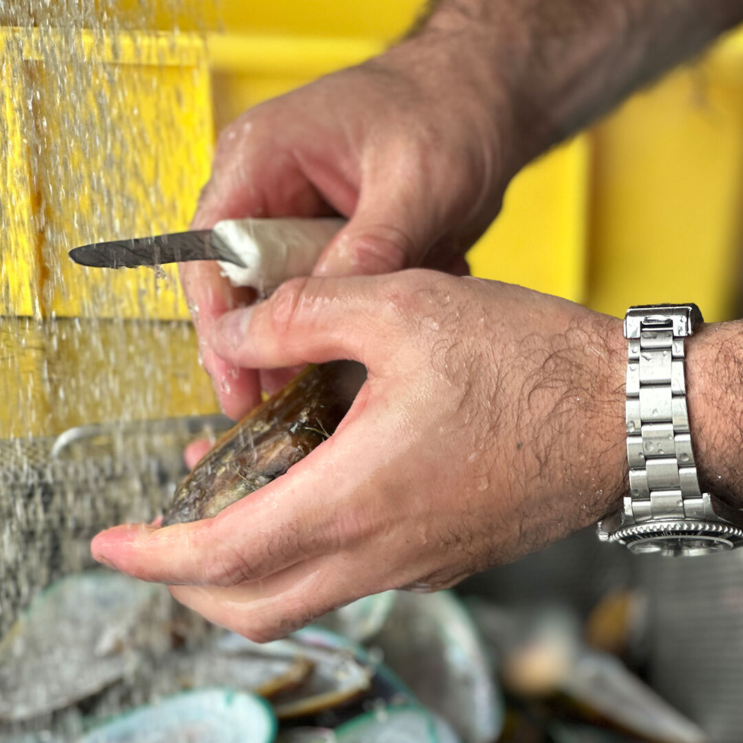 Raw Shucked Mussels