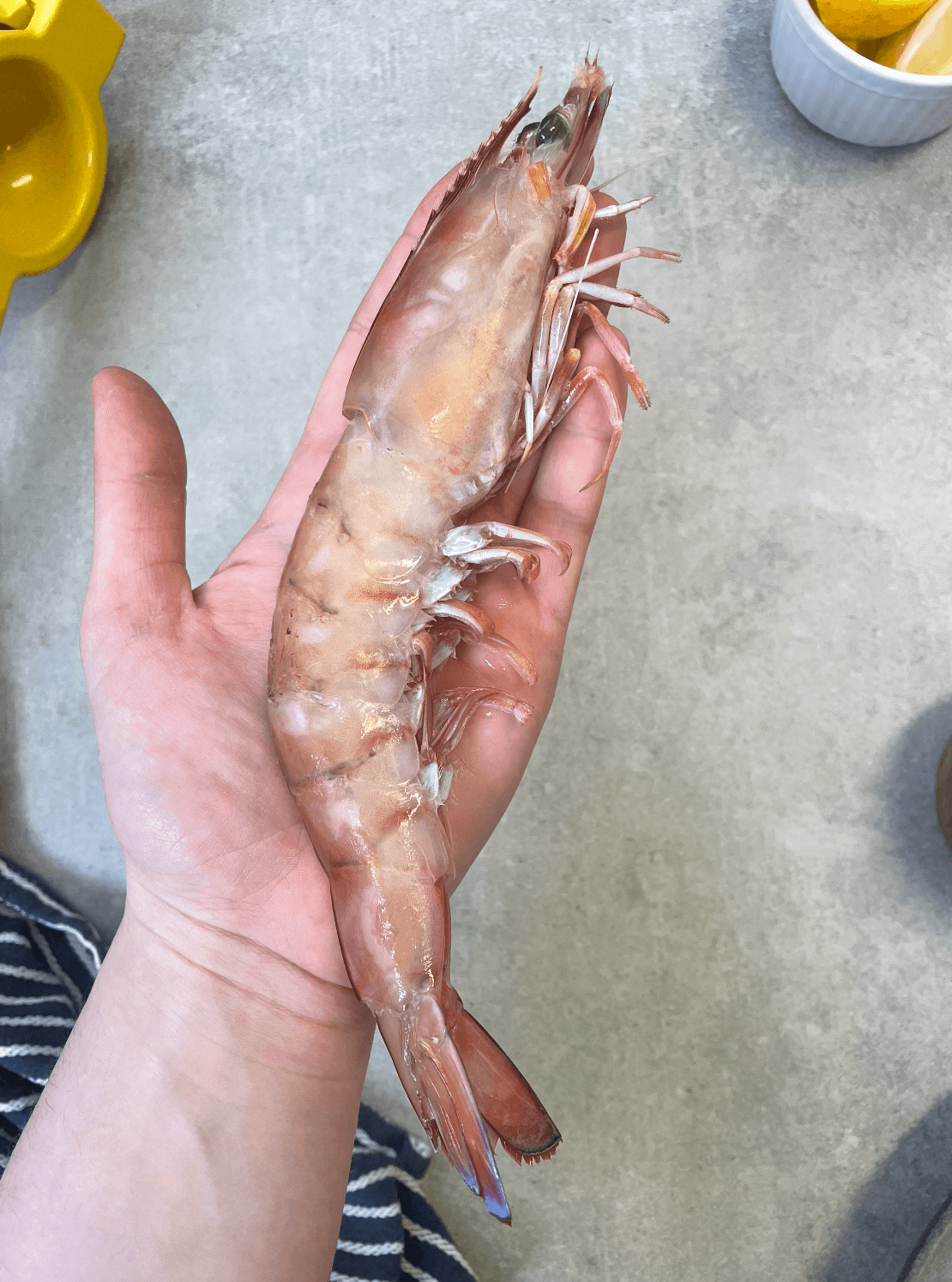 Australian King Prawn (Whole, Raw, XXL)