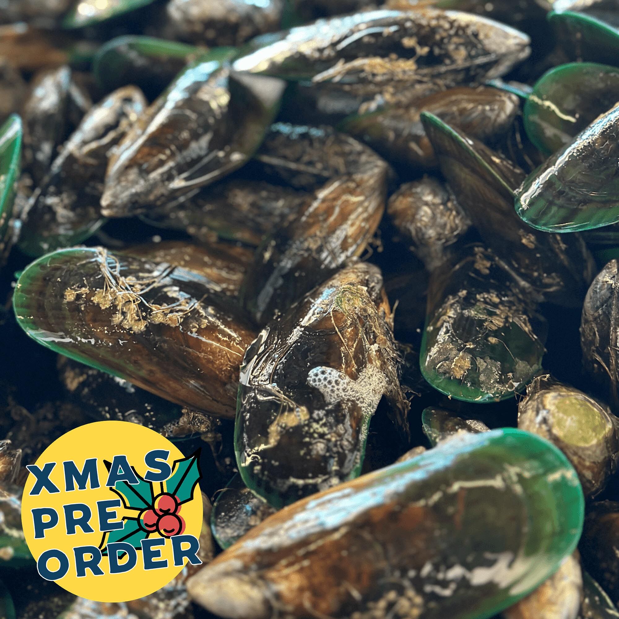 XMAS PRE-ORDER: Live Mussels 1KG