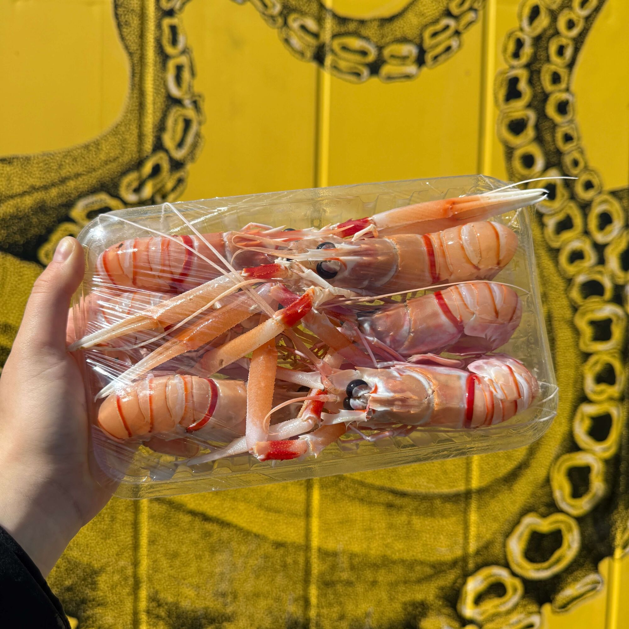Scampi (Locally Caught)