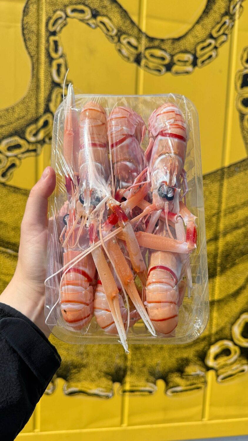 Scampi (Locally Caught)