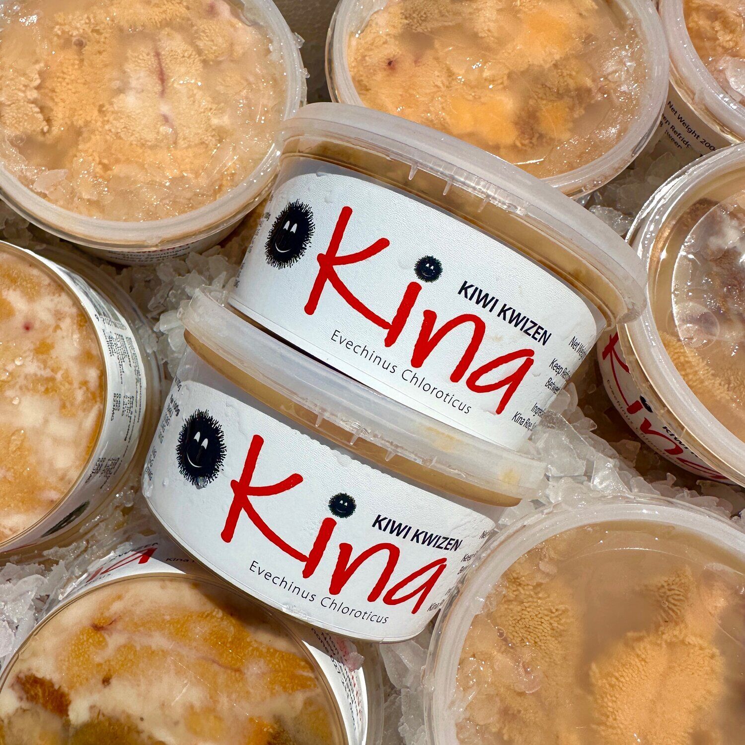Kina Pot Fresh (Kiwi Kwizen) 200g