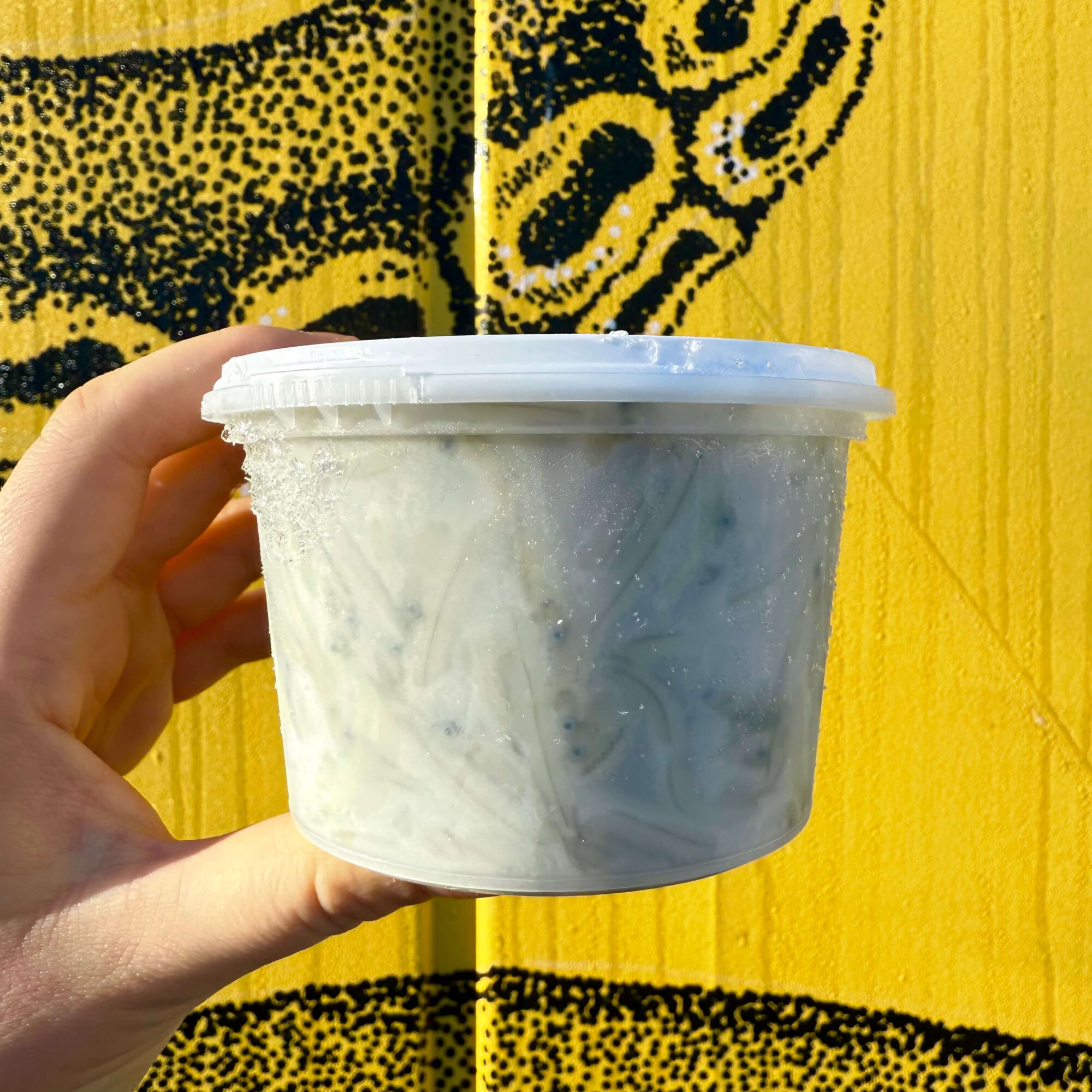 Whitebait 250g (NZ) Frozen Pot