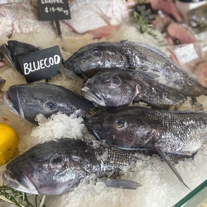 Whole Blue Cod 1KG