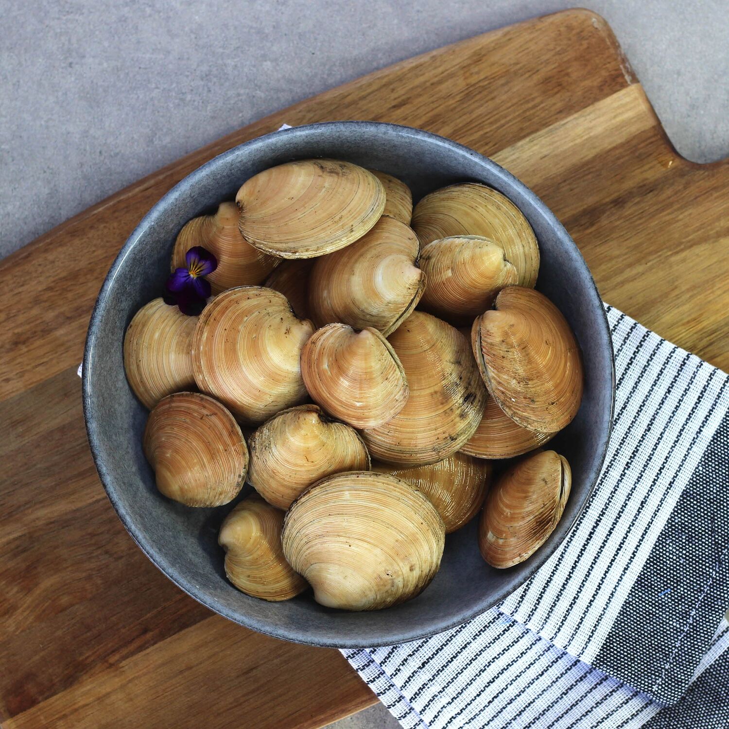 Moon Shell Clams (Live) 1KG