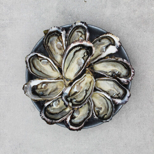 Te Matuku Oysters (Dozen)
