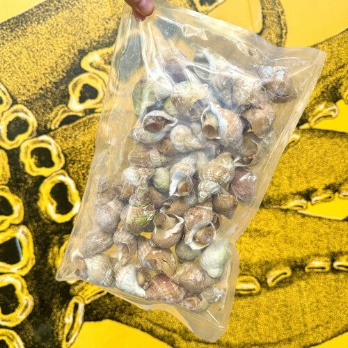 Whelks Whole Cooked (Frozen) 1KG