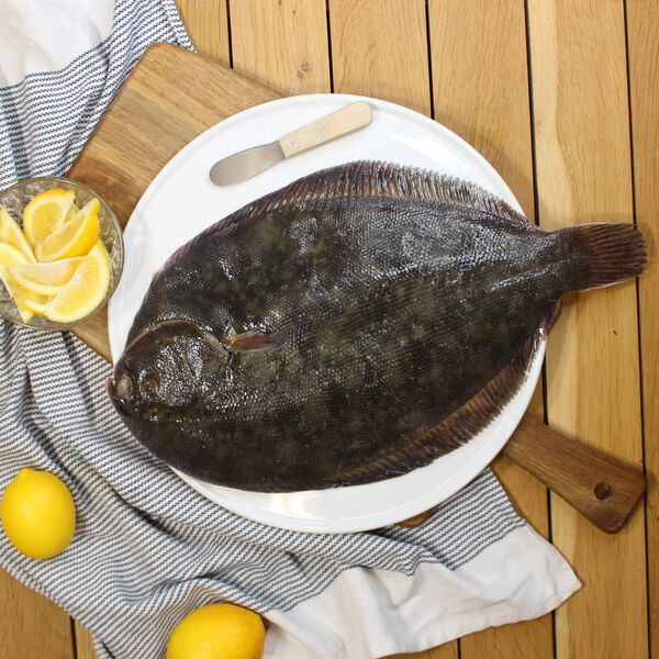 Whole Turbot 1KG