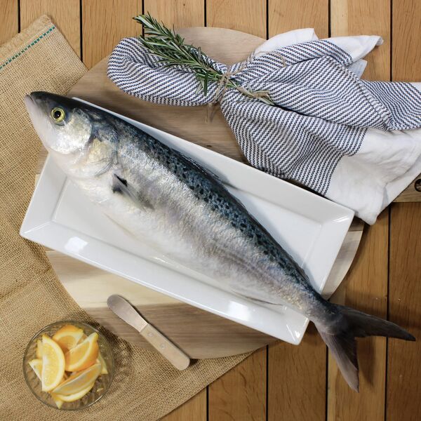 Whole Kahawai 1KG