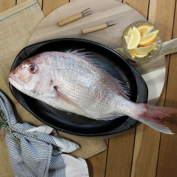 Whole Snapper 1KG