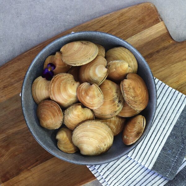 Moon Shell Clams (Live) 1KG