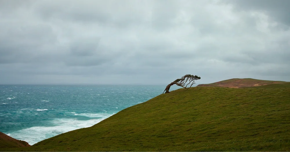 Life on the edge