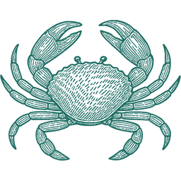 Saltwater Seafoods Seafood Boil