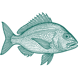 Saltwater Seafoods Fresh Fish