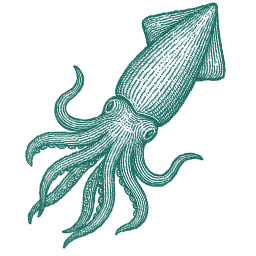 Saltwater Seafoods Squid + Octopus